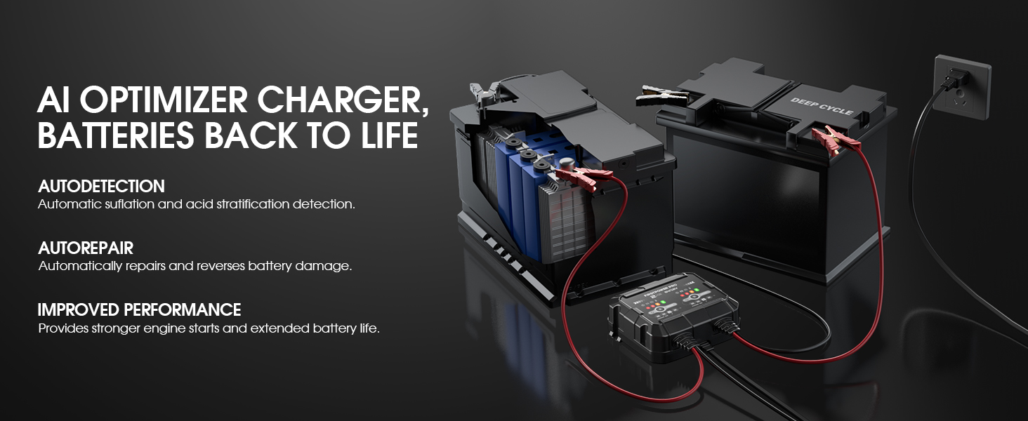 2A*2 battery charger