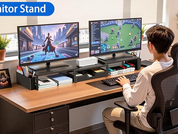 dual monitor stand