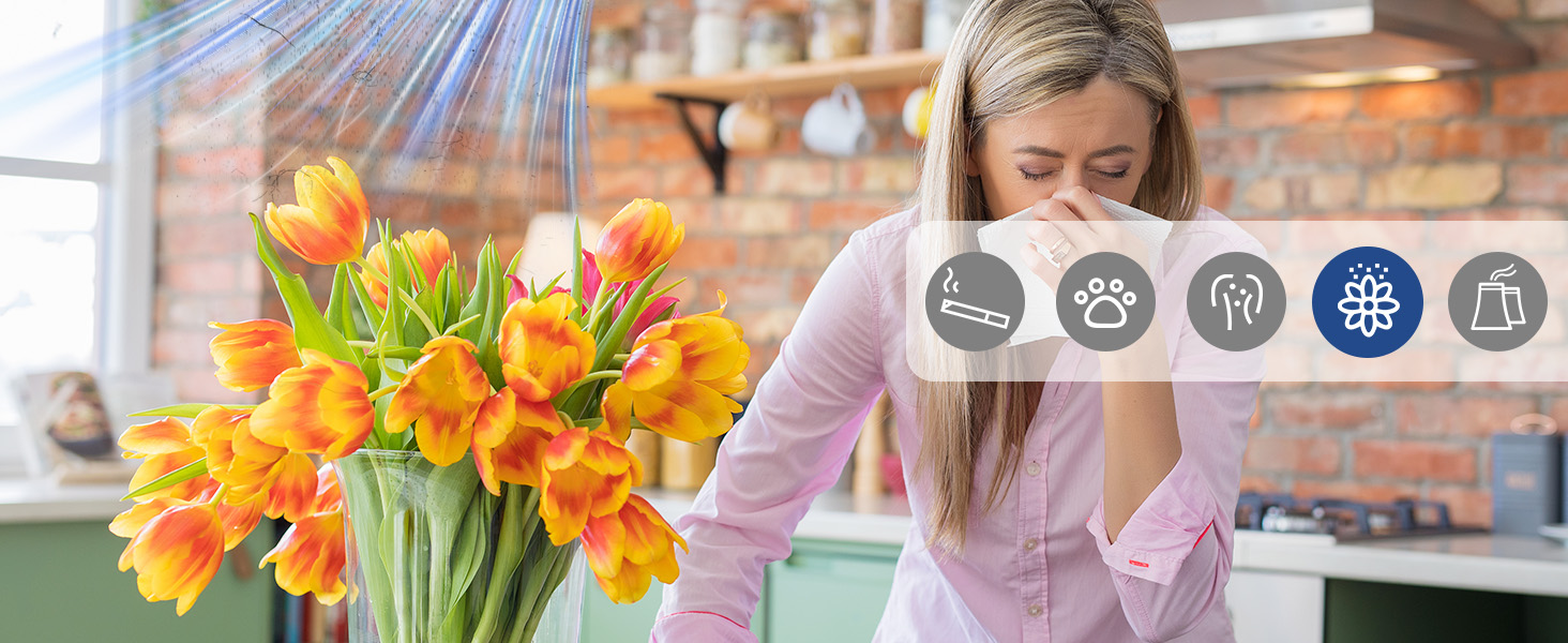 air purifiers for home pets