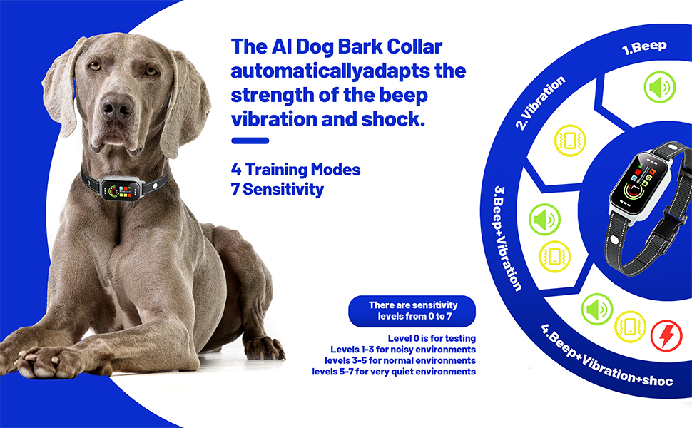 Bark Collar