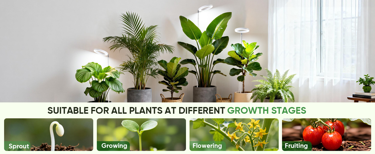Grow Light for Indoor Plants,