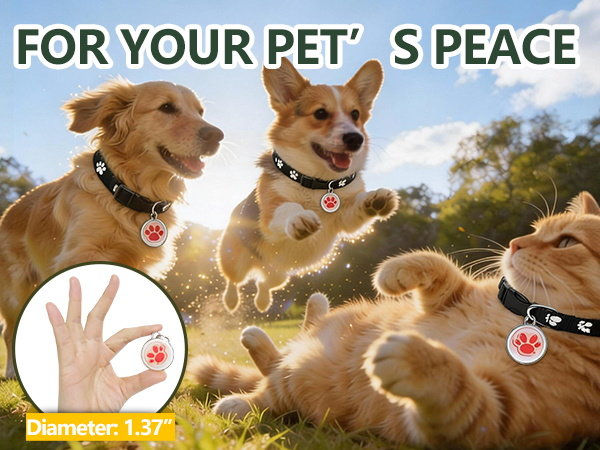Smart GPS Tracker for Dogs
