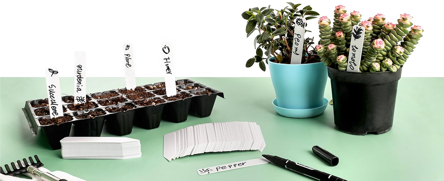 seed labels