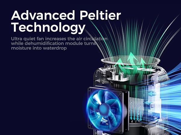 dehumidifier