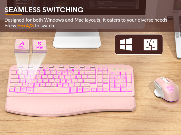 plug and play 2 in 1 Win&Mac system layout 