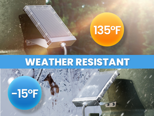 deer feeder solar panel 12v