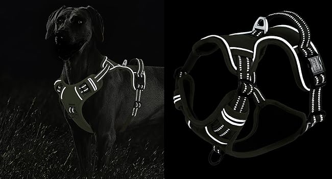 dog harness midium size dog