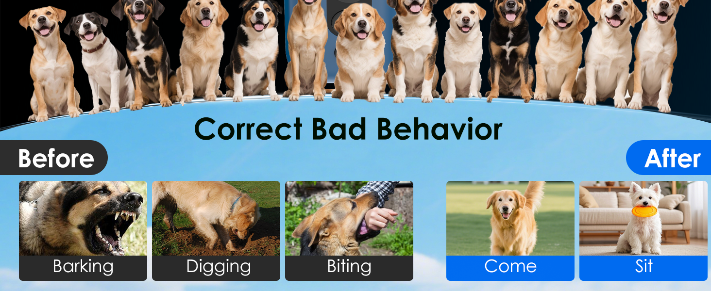 Correct Bad Behavior