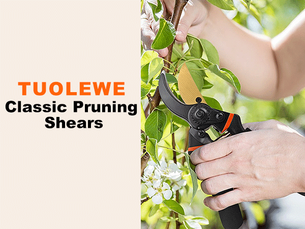 Pruning shears