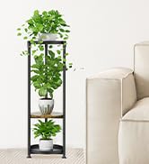 4 Tier Tall Plant Stand Indoor Outdoor