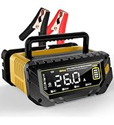 26-Amp Battery Charger for Lithium LiFePo4 Lead Acid Deep Cycle (AGM/Gel), 6V/12V/24V Battery Cha...