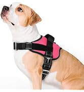 rabbitgoo Dog Harness for Large, Easy On Pet Vest with One Buckle, No Pull Adjustable Service Har...