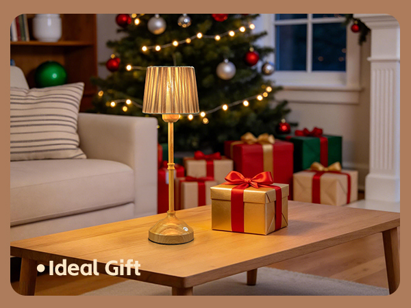 Ideal Gifts for Women Mom Sister on Mothers day Christmas