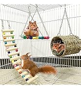 Hamiledyi Ewolee Hamster Hanging Toy, 3 Piece Wooden Small Animal Ladder Hammock Swing Set Toys f...