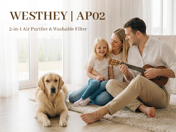 air purifiers