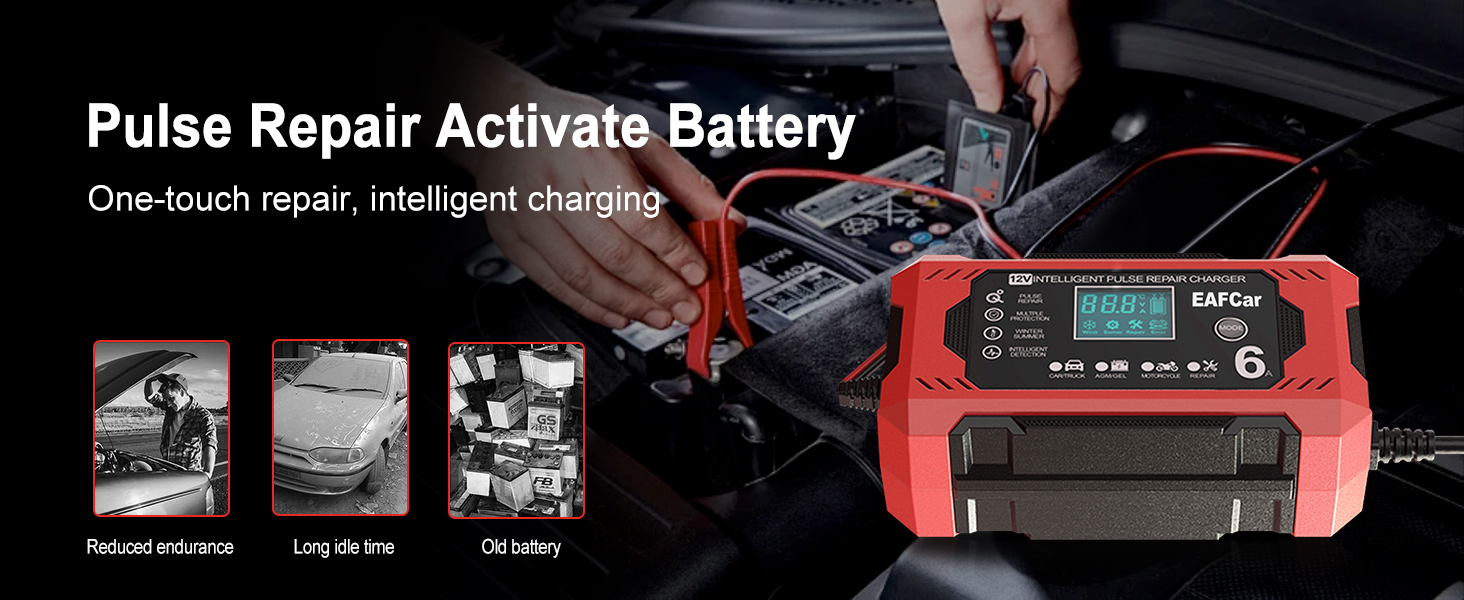 trickle charger for car battery 12v