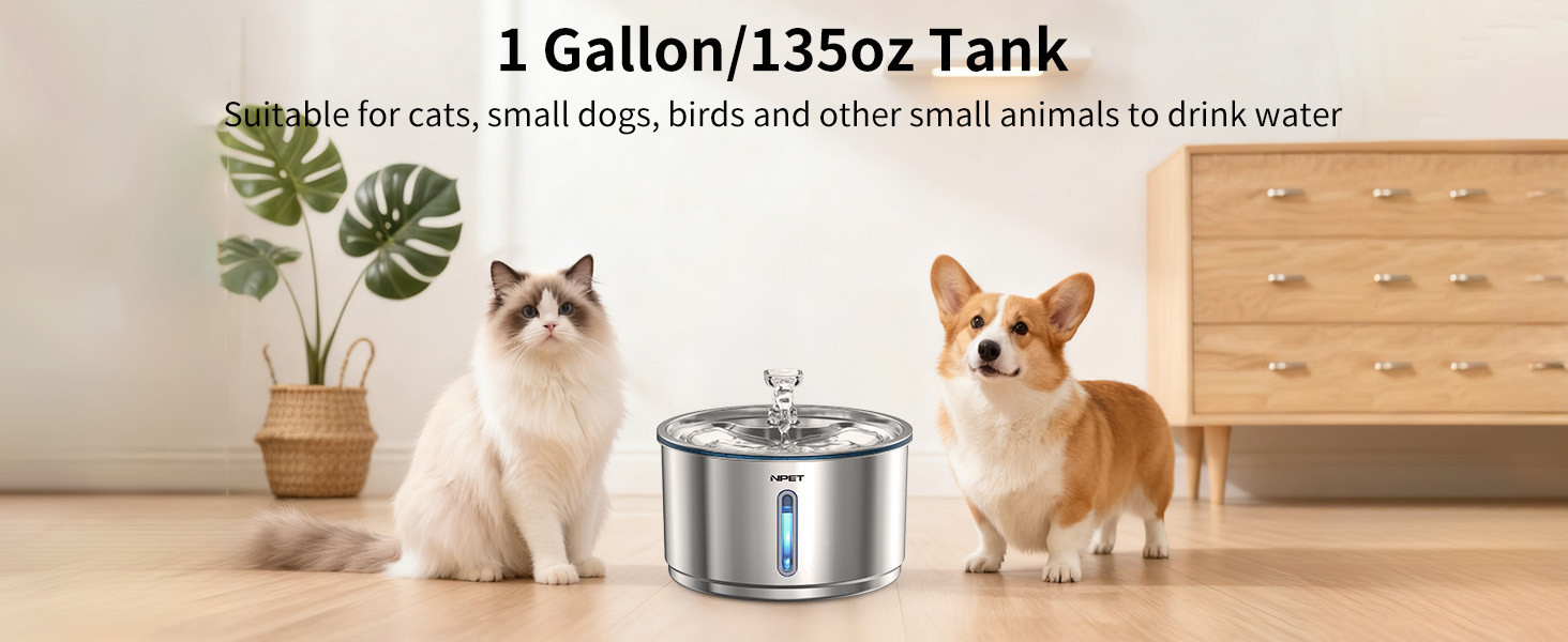 1 gallon pet water fountain