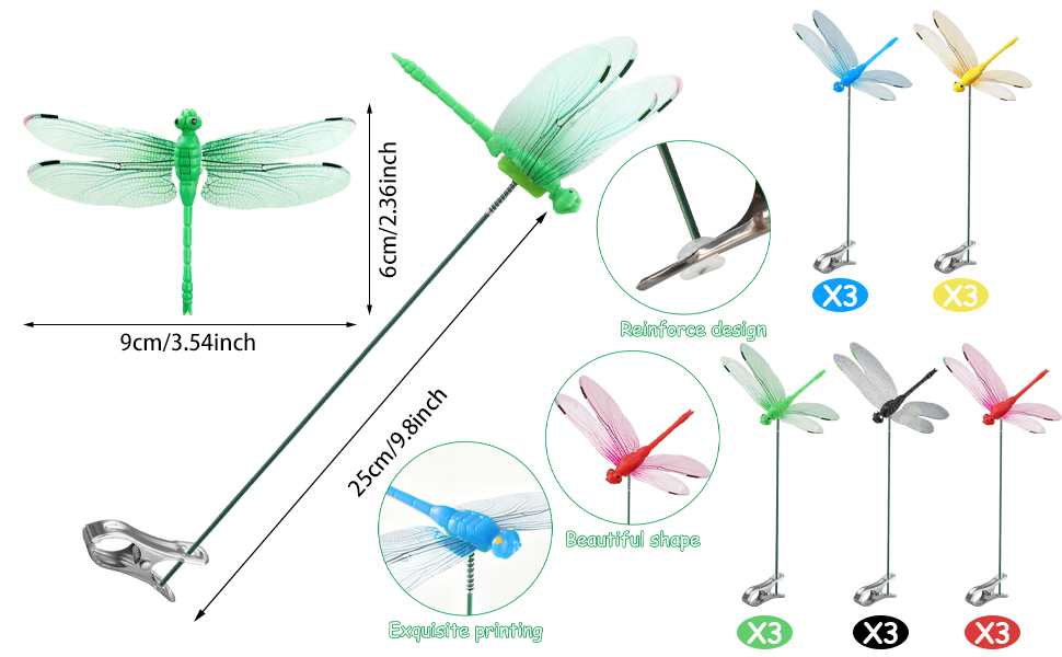 aplus content image