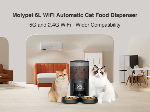 automatic cat food dispenser