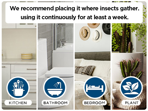 fruit fly traps for indoors gnat traps for house indoor gnat killer indoor fruit fly killer gnats