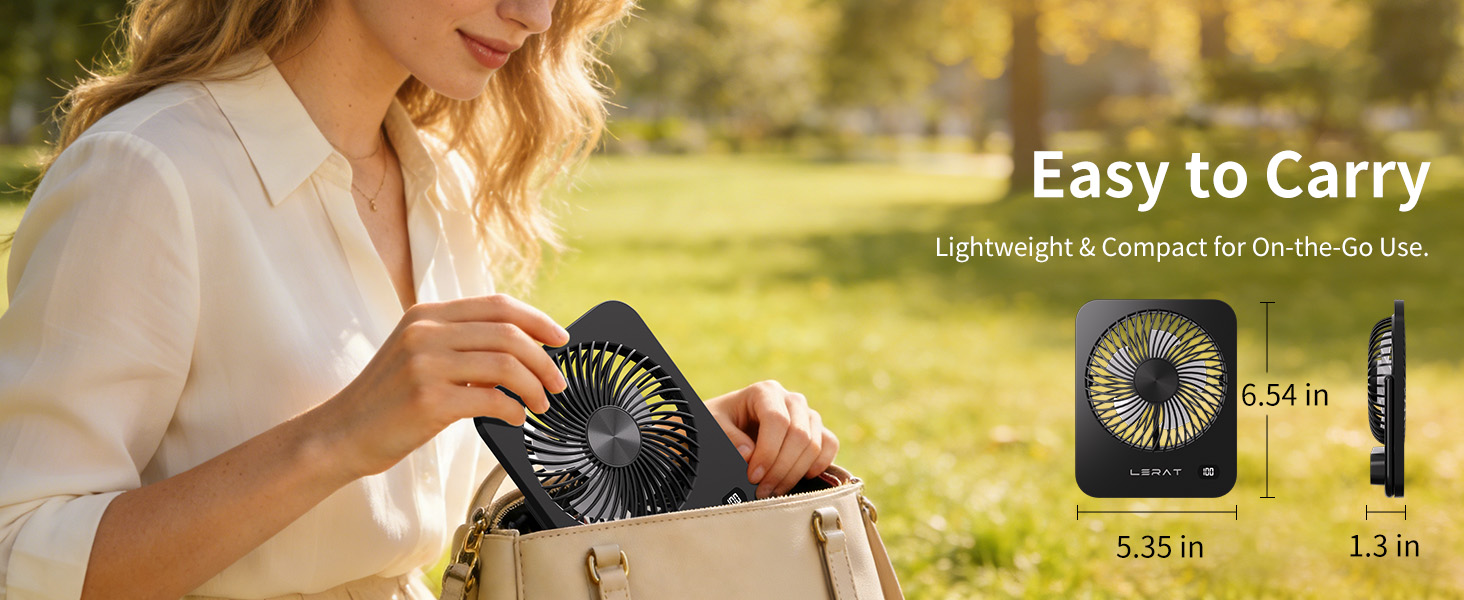 Mini Desk Fan