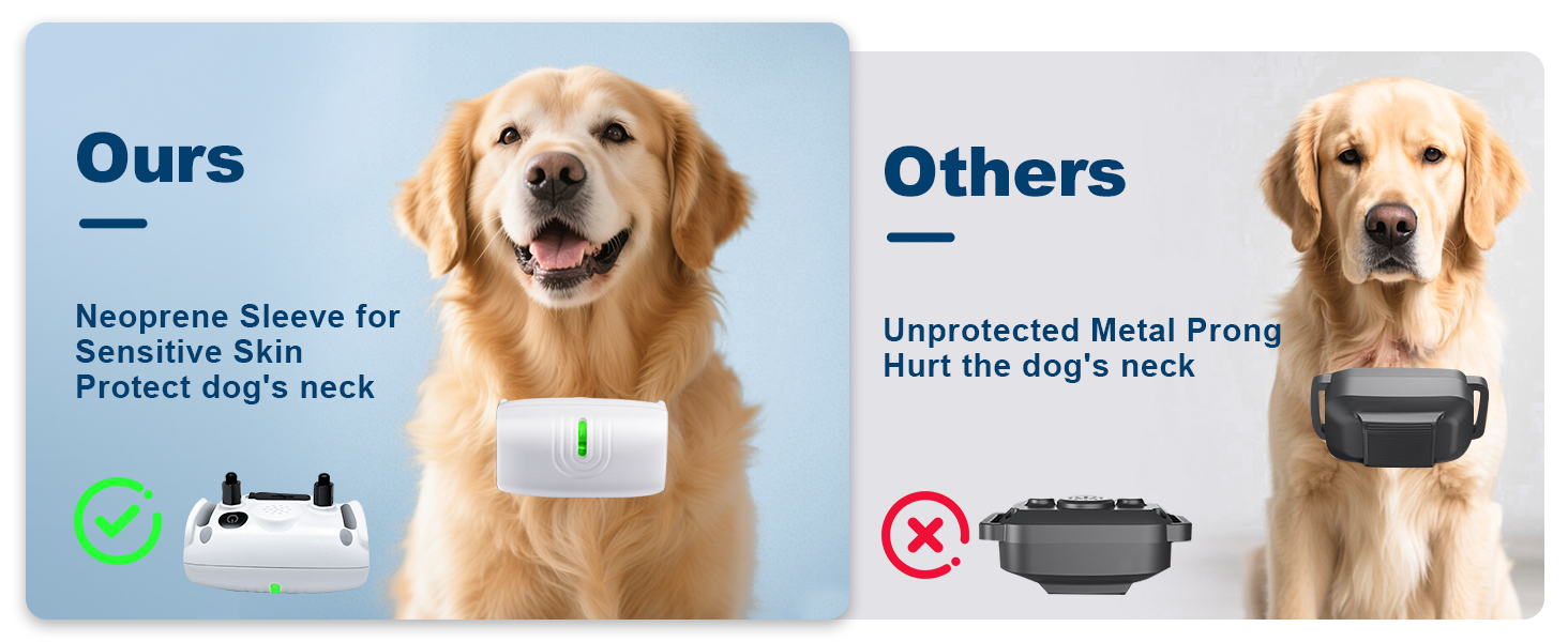 dog training collar
