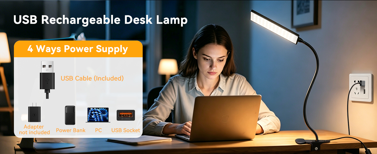 Clip On Desk Lamp