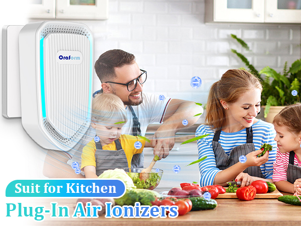 Air Ionizer for Home Negative Ion Air Purifier Plug In