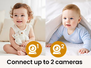 Connect up to 2 Cameras