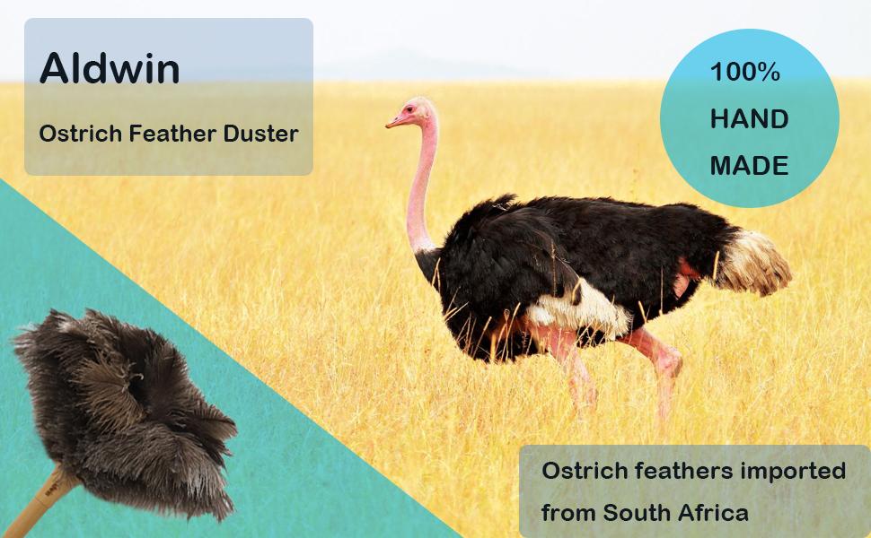 Aldwin Ostrich Feather Duster
