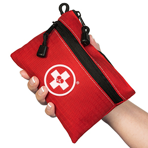 first aid bag in hand
