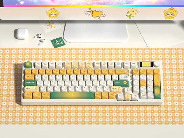 Screen