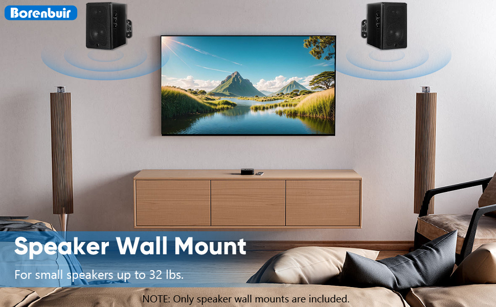 Speaker Wall Mount