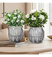 Qhzxcvlk 2 Pack Self Watering Planters Indoor Flower Pots, 5.1 Inch Clear African Violet Pots for...