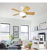 Depuley Modern Ceiling Fan with Light: 25-Inch White Small Fans for Bedroom Indoor Outdoor - Dimm...