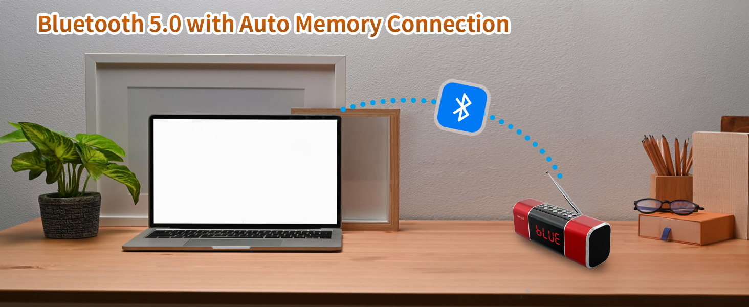 FM Radio Bluetooth Speaker