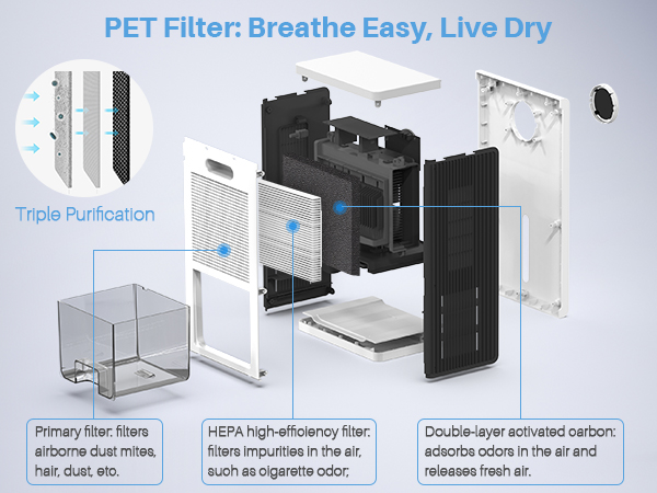 PETFilter: Breathe Easy