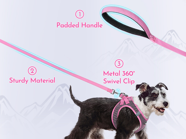 dog harness and leash set