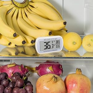 freeze thermometer digital