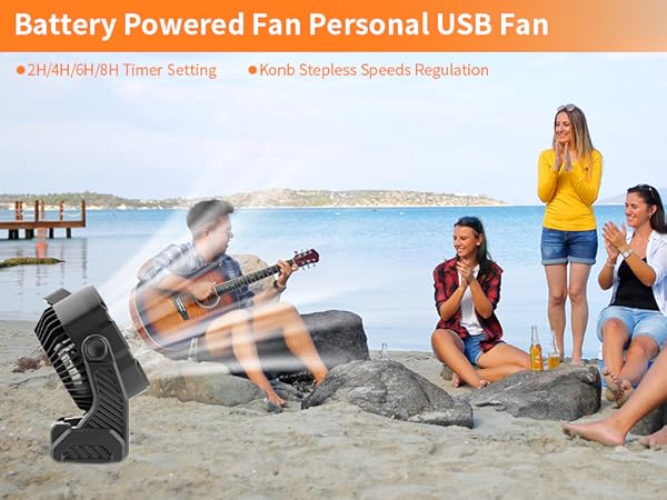 beach fan