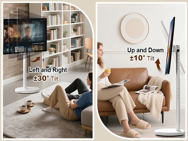 Mobile TV Cart