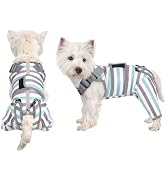 Arblina Dog Recovery Suit, Adjustable Rear Leg Sleeve to Stop Licking Wounds for Large Medium Mal...