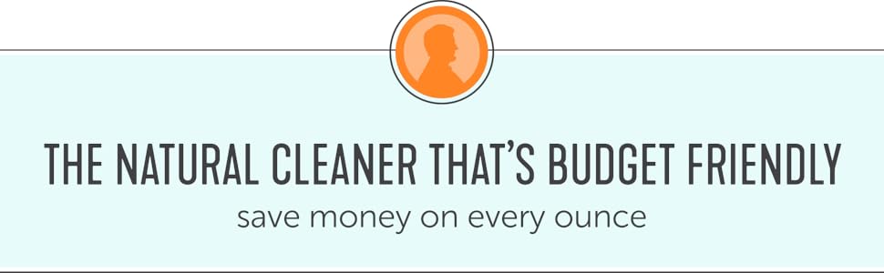 Natural Cleaner That's Budget Friendly