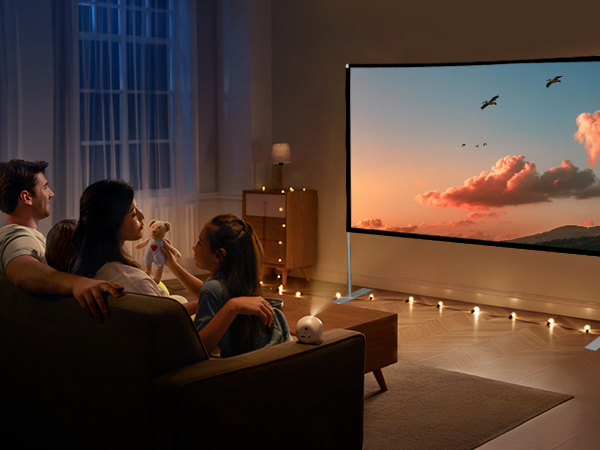 Indoor Projector Screen