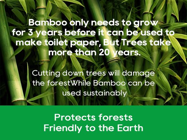 Tree-free Facial Tissues