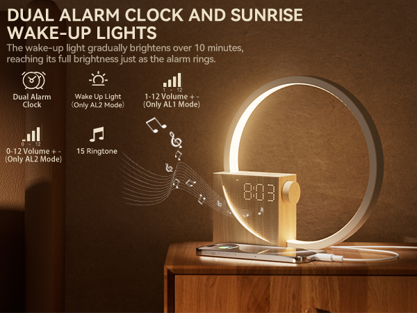 dual alarm clock