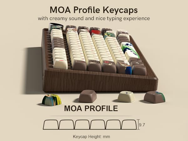 moa profile keycaps