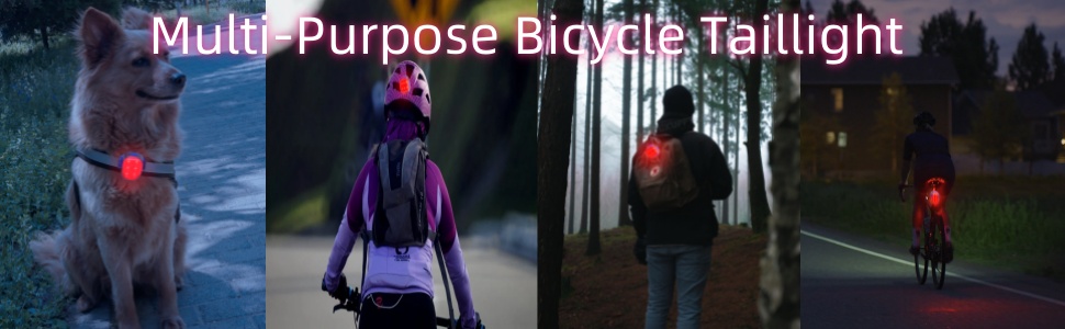 rear light