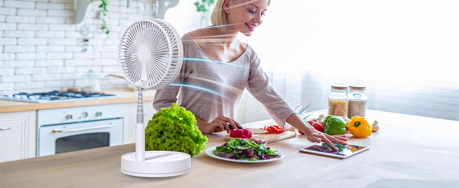 house fan room fan kitchen fan desktop fan