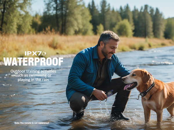 shock collars for dogs shock collars for dogs with remote